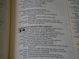 A clean, narrow column of text showing a chronological list of academic publications.