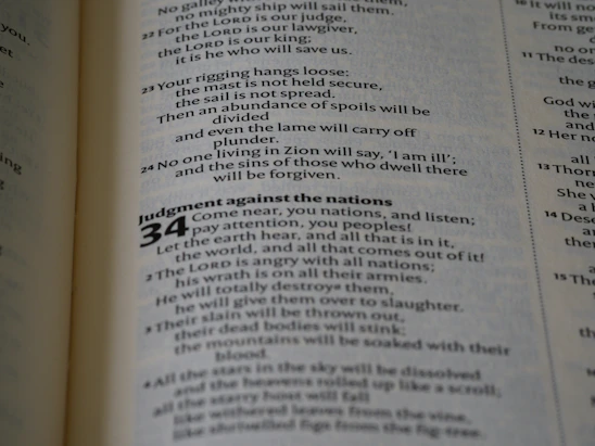 A clean, narrow column of text showing a chronological list of academic publications.