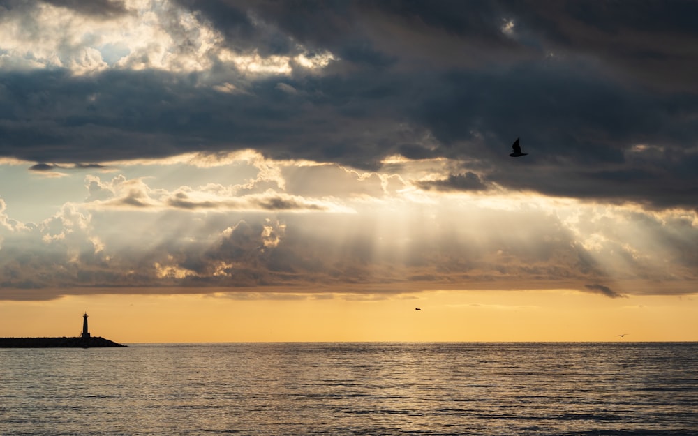 Ein Vogel, der unter einem bewölkten Himmel über ein Gewässer fliegt