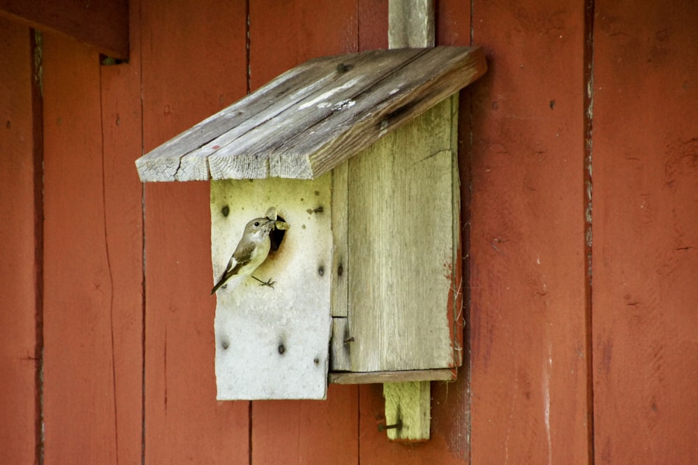 a bird house with a bird inside of it