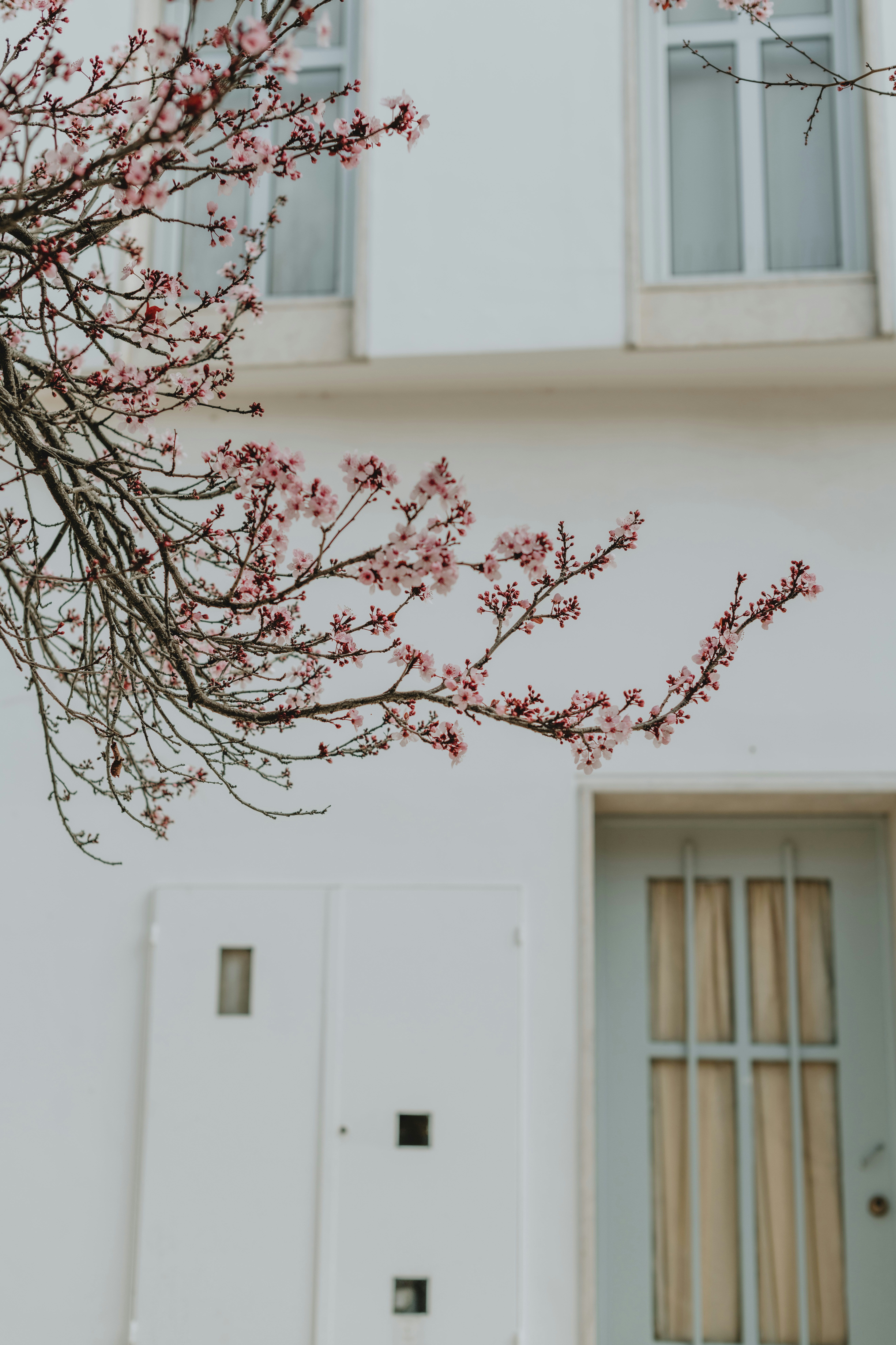 Photo by anitaaustvika