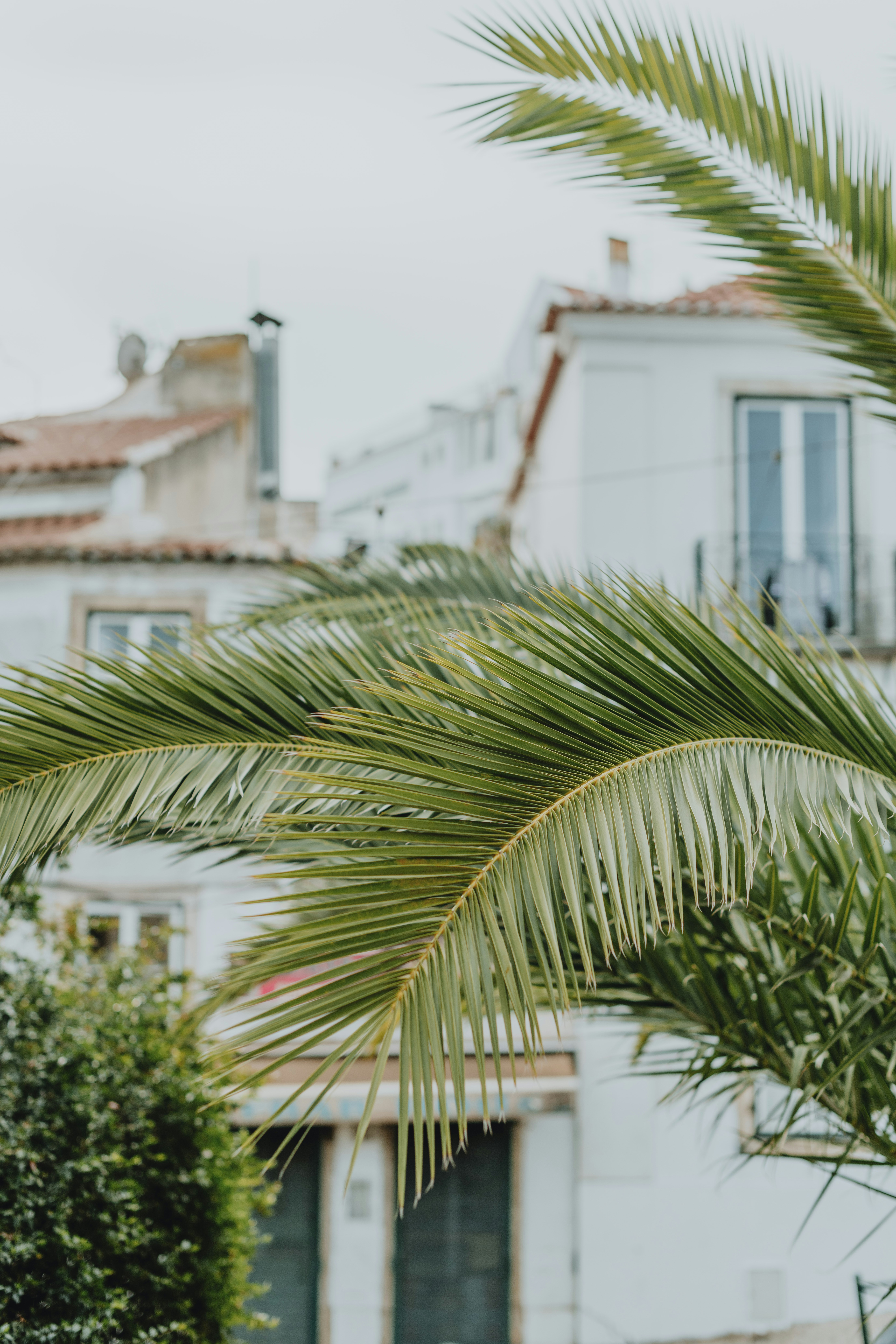 Photo by anitaaustvika