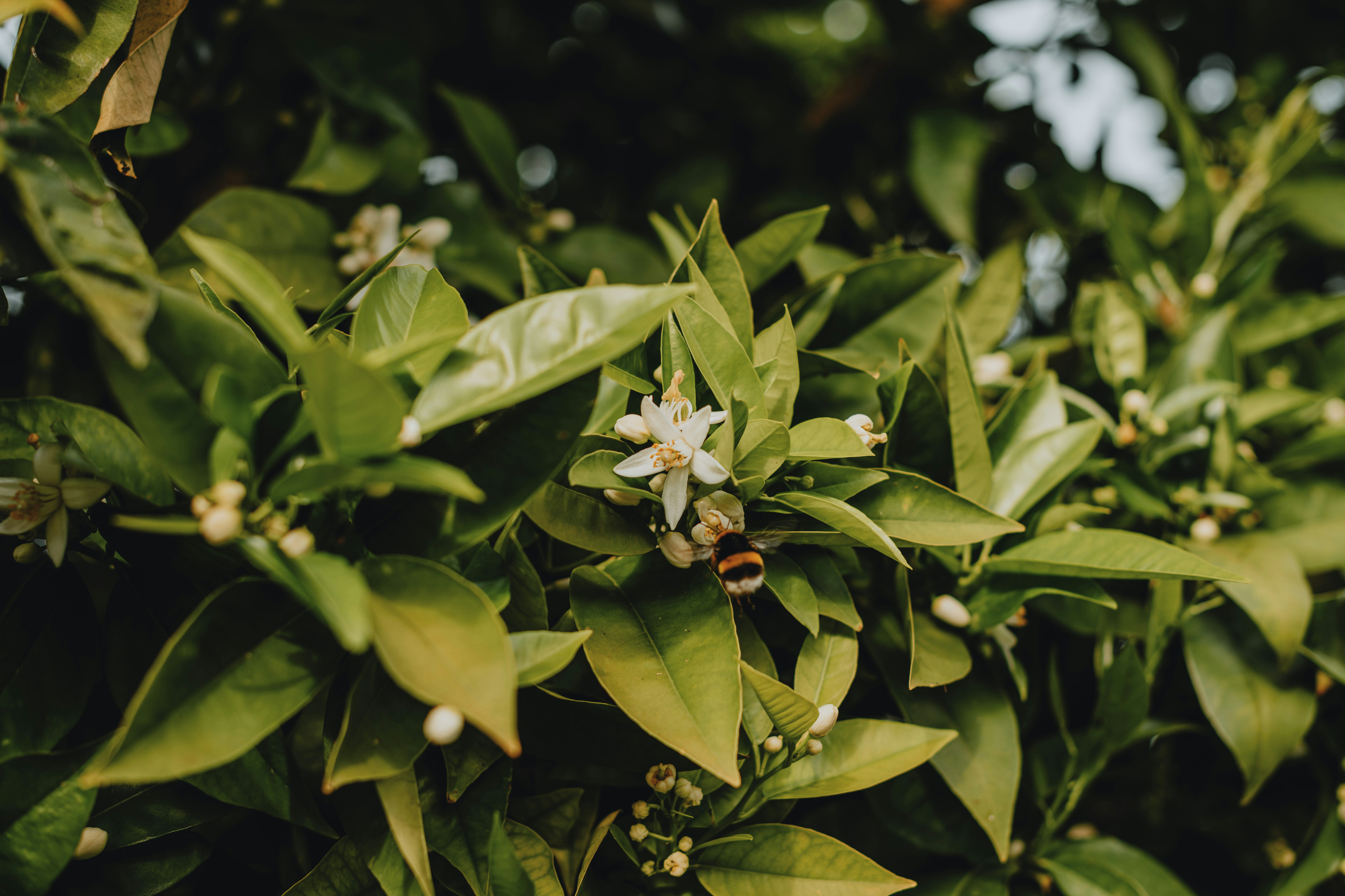 Photo by anitaaustvika