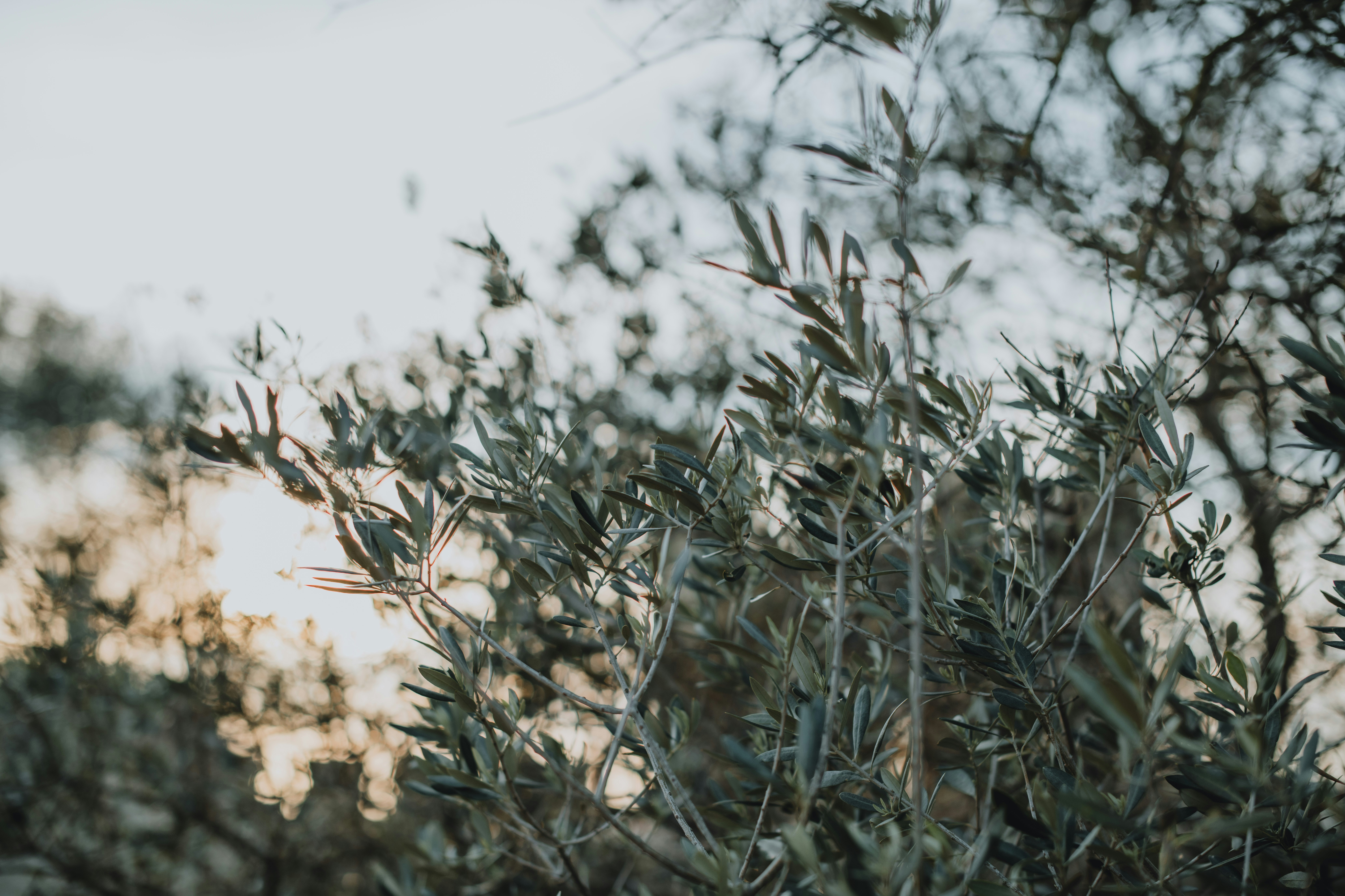 Photo by anitaaustvika