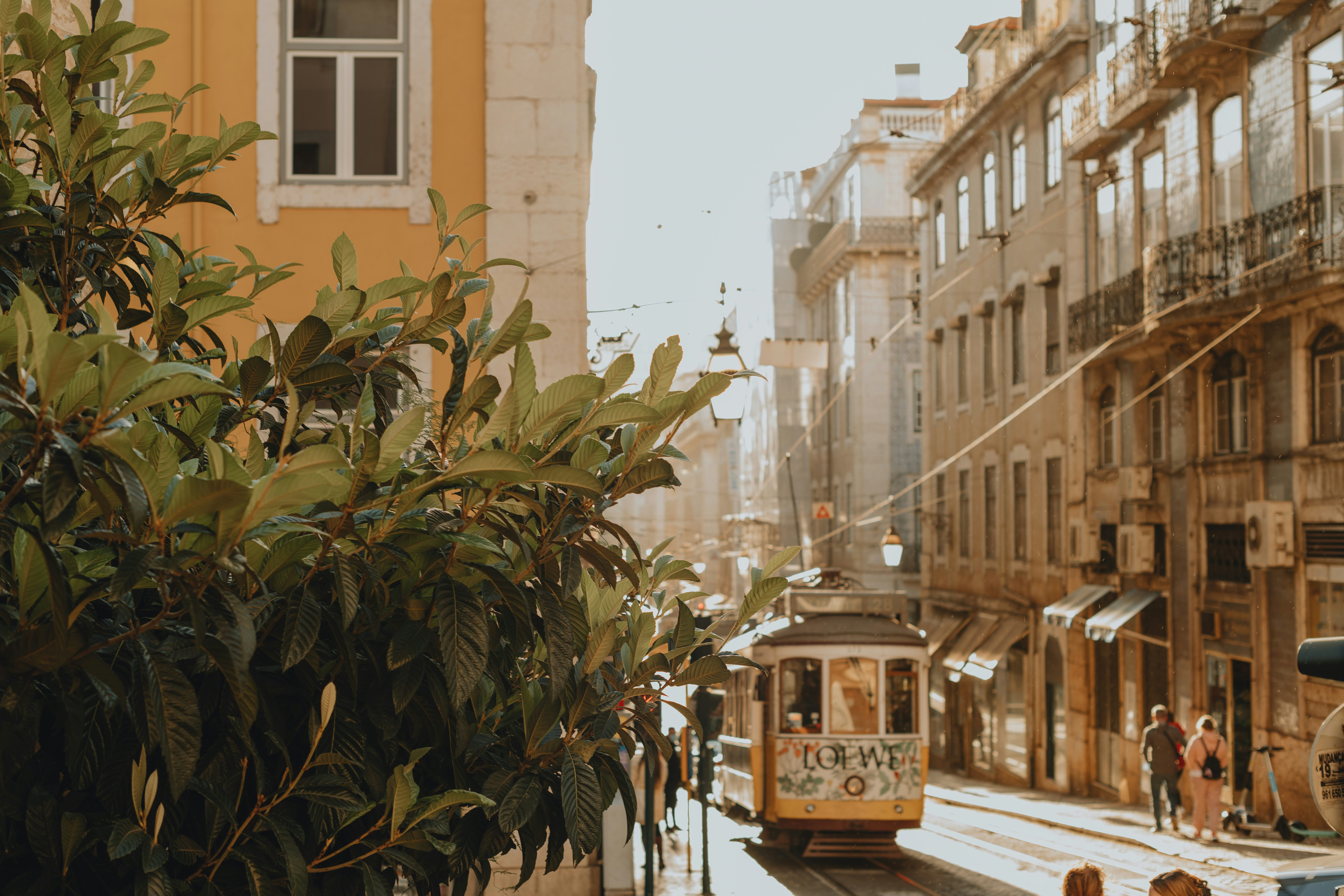 Photo by anitaaustvika