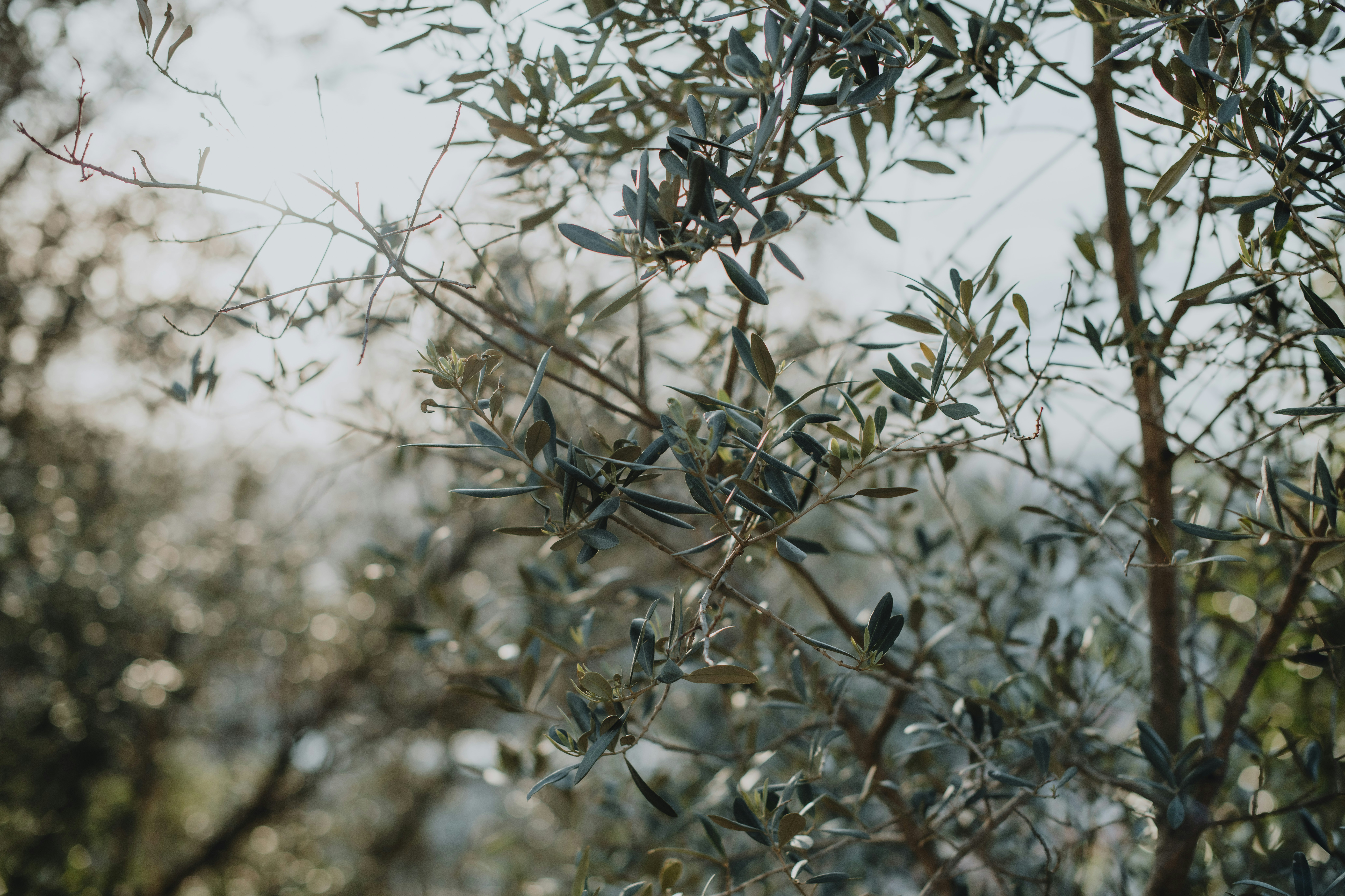 Photo by anitaaustvika