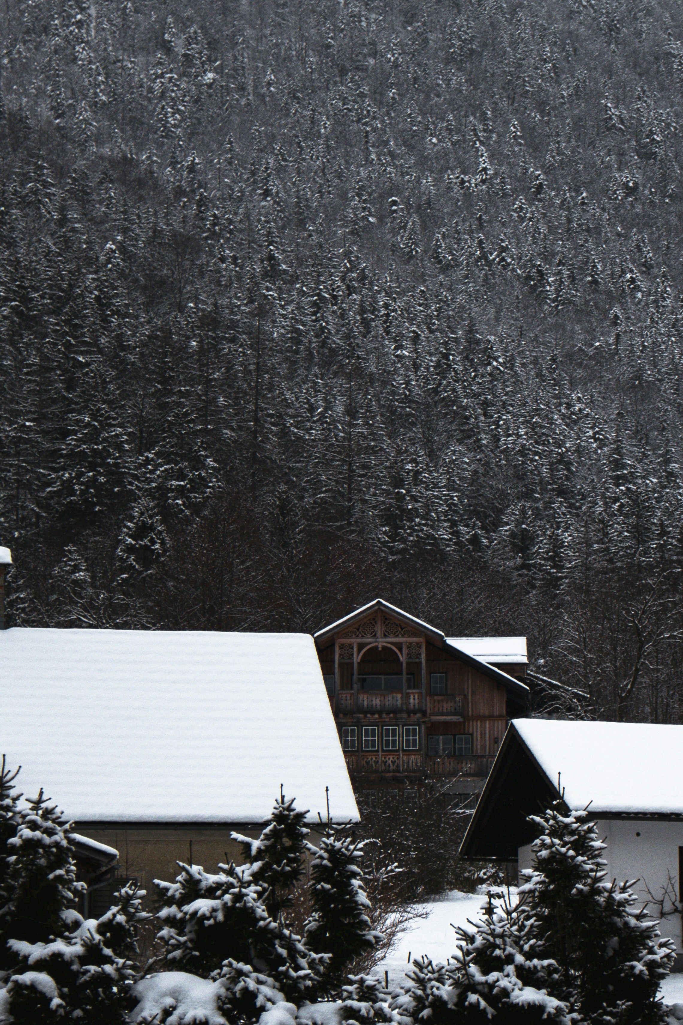 Photo by anna_c_wilhelm