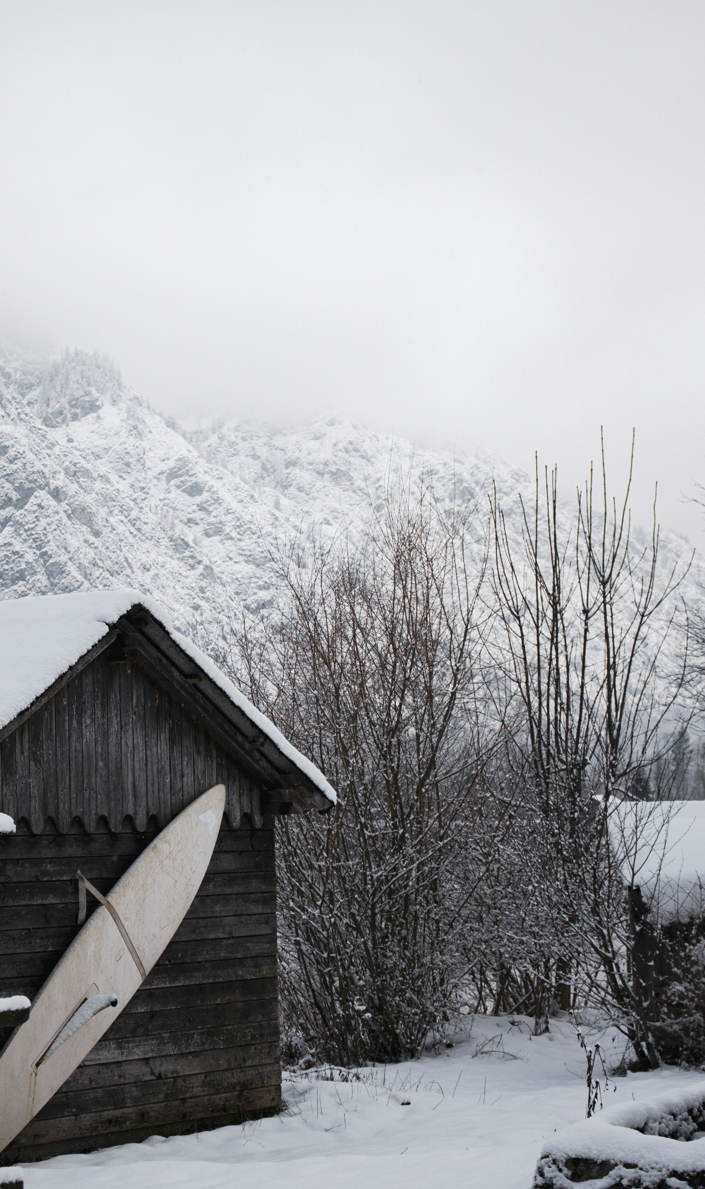 Photo by anna_c_wilhelm