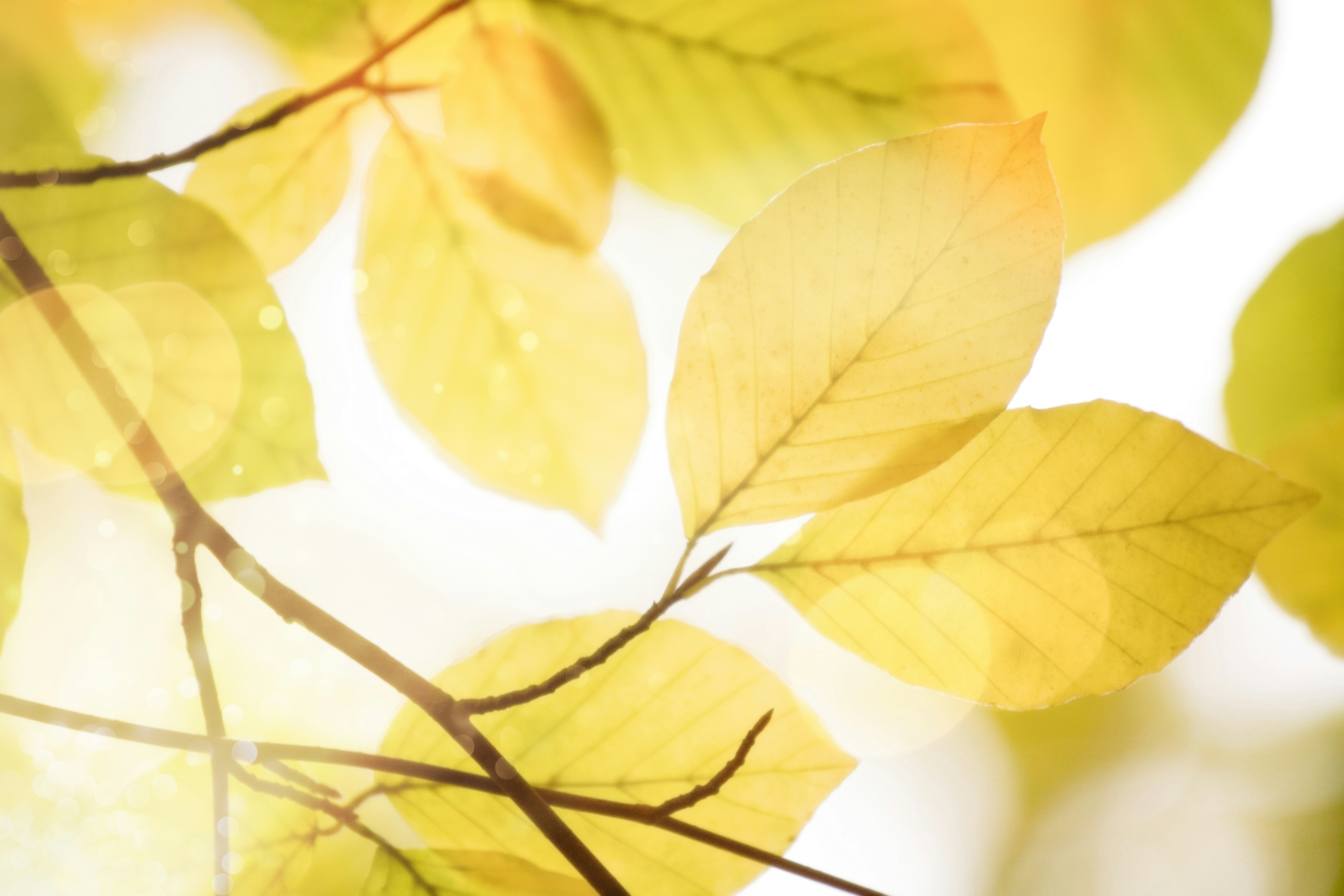 Photo by nataliekinnear