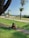 A happy reader sitting in a park, reading 'Naturaleza Maestra de Vida'.