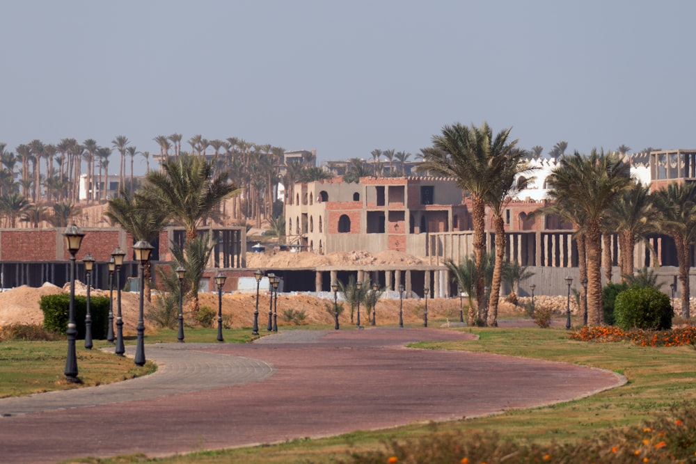 a street with palm trees and buildings in the background