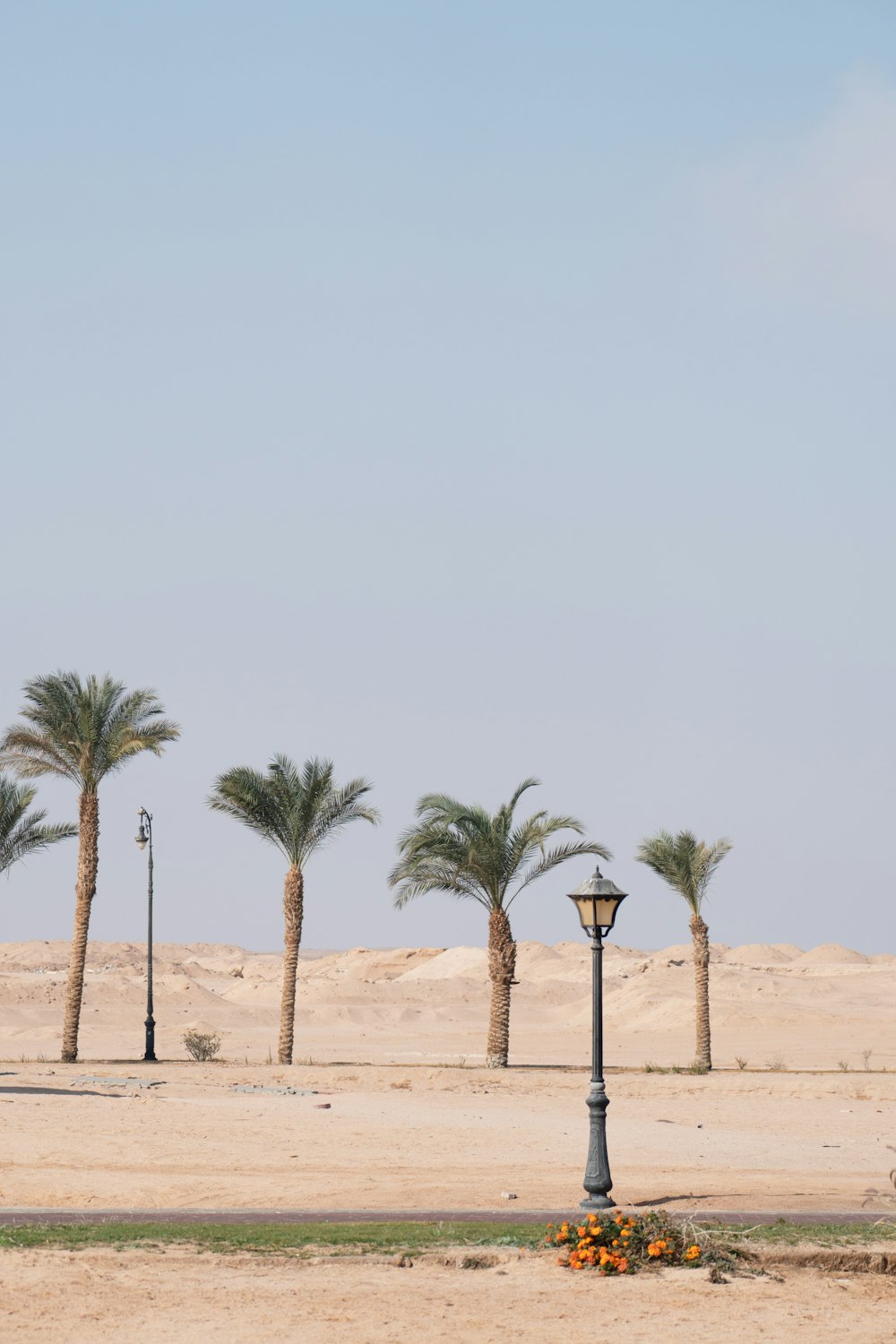 a street light sitting in the middle of a desert