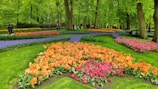 A peaceful community garden with blooming flowers and people enjoying the space.