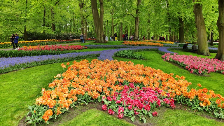 A peaceful community garden with blooming flowers and people enjoying the space.