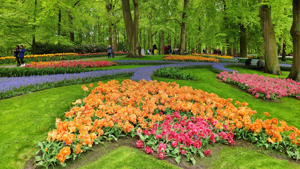 Outdoor garden area with colorful flowers and a few seniors enjoying a peaceful walk on a sunny day.