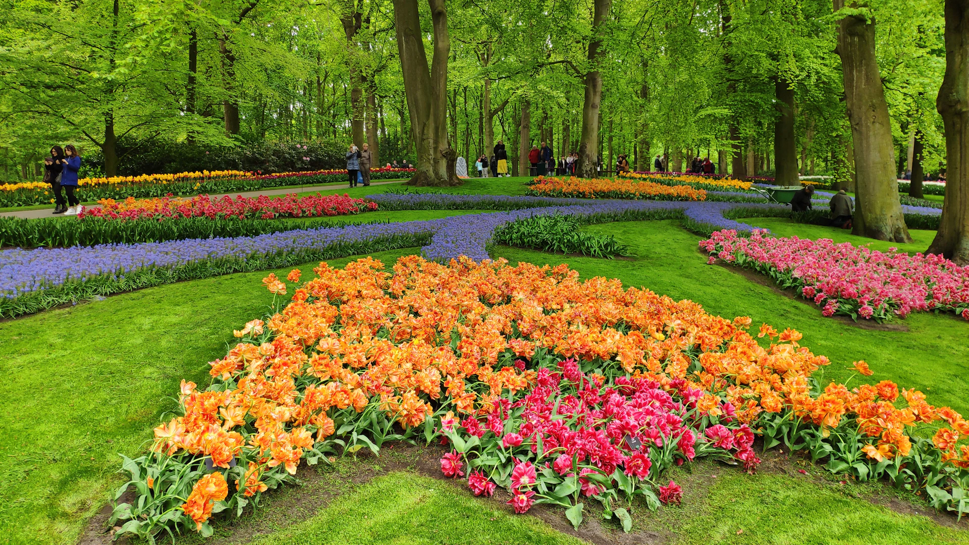 woman wearing yellow long-sleeved dress under white clouds and blue sky during daytime