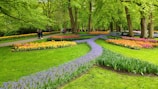 A vibrant garden with well-maintained plants and flowers.