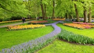 A vibrant garden with colorful flowers and well-maintained plants.