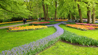 A vibrant, freshly landscaped garden showcasing colorful flowers, neatly trimmed shrubs, and a winding stone path.