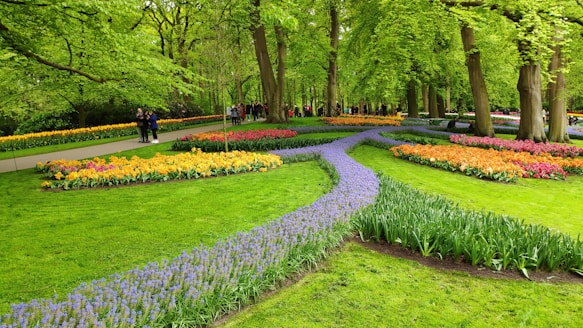 A vibrant, freshly designed garden with colorful flowers and neatly arranged shrubs.