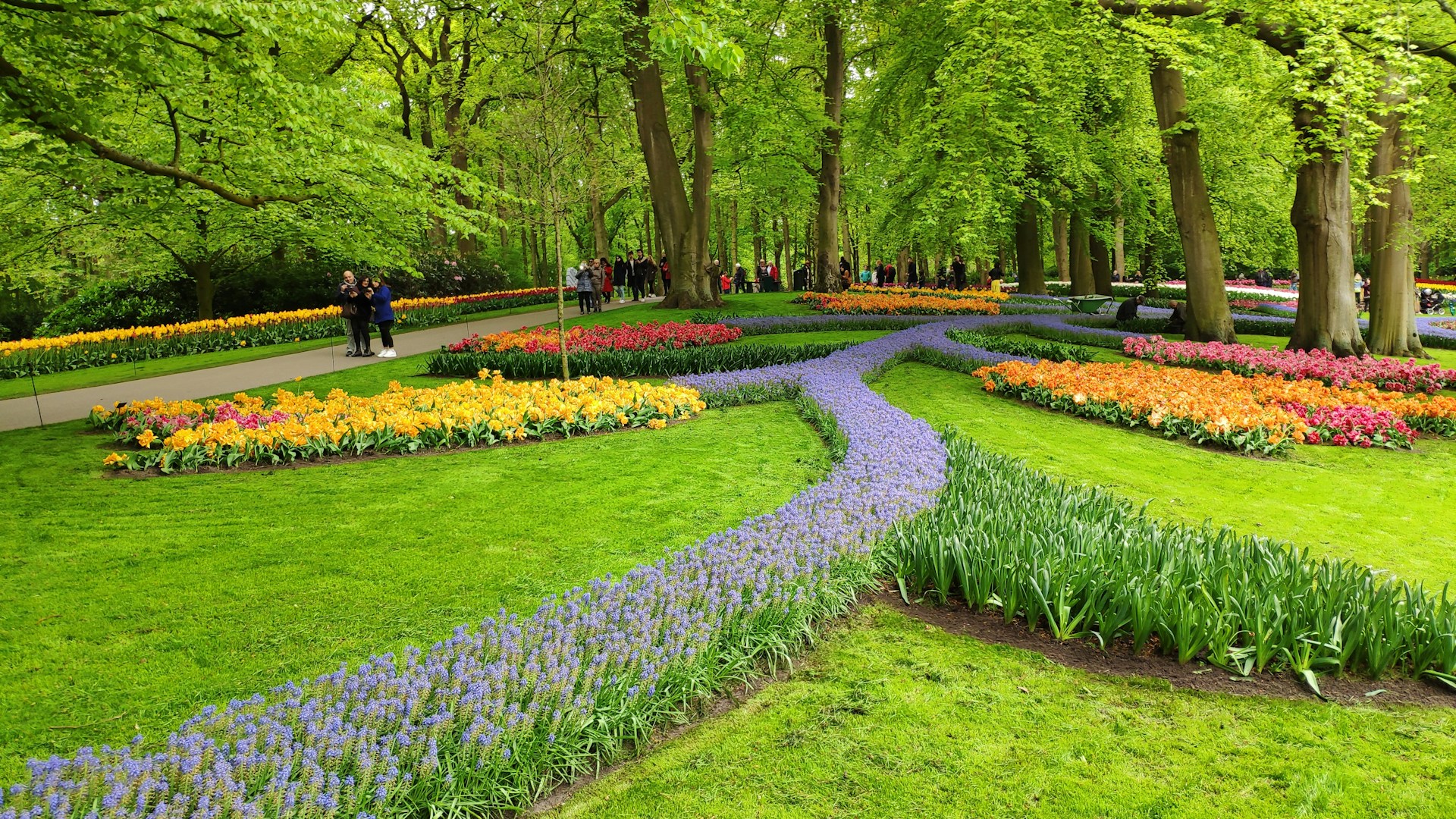 A vibrant garden showcasing high-quality garden tools in use, surrounded by blooming flowers and greenery.