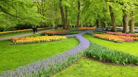 A vibrant garden features a variety of colorful flowers arranged in well-maintained beds. Lush green grass and tall, leafy trees surround the area, and a path meanders through the bright landscape. A few people can be seen walking and enjoying the scenery.