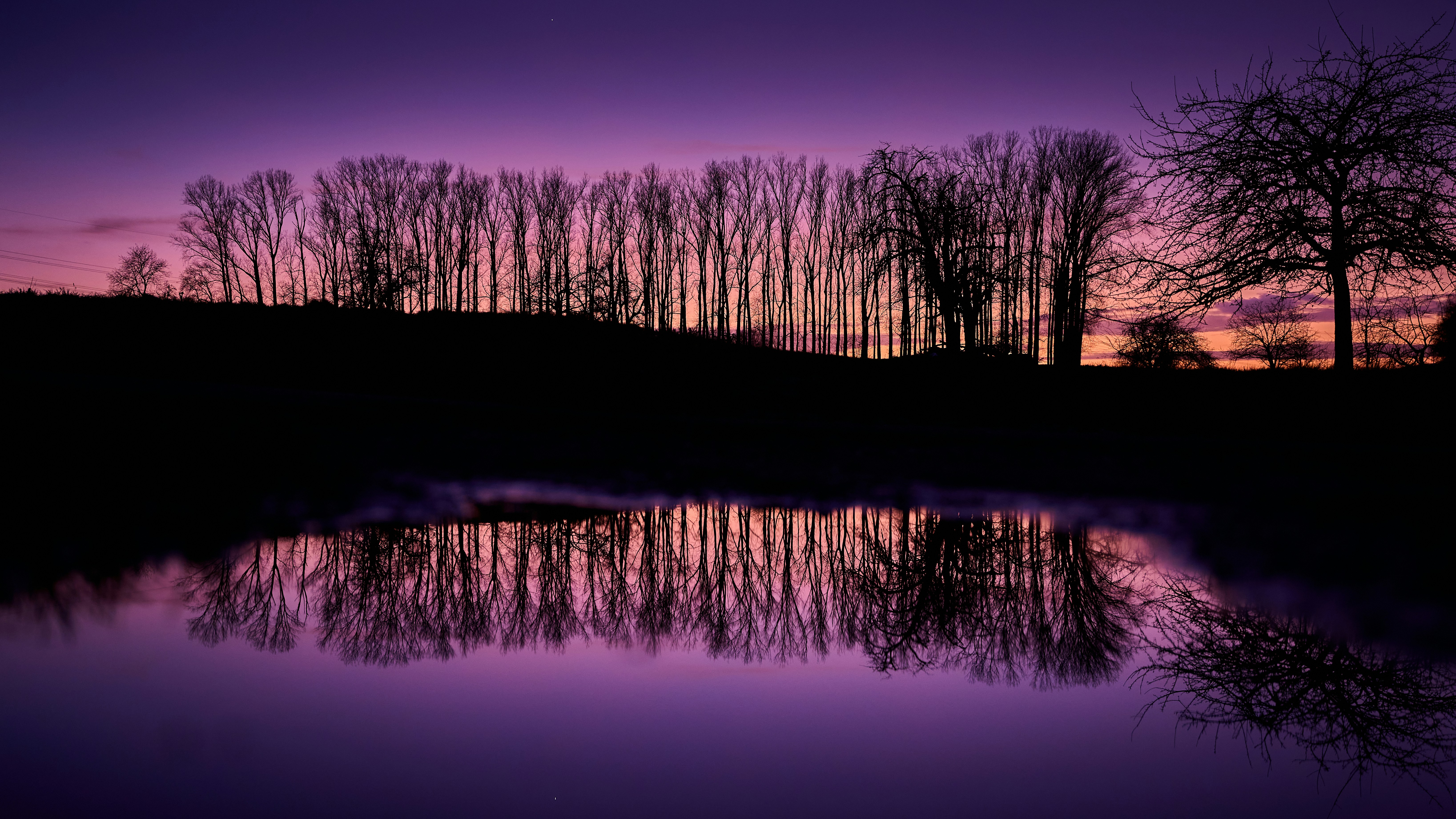 水に映る木々を持つ紫色の夕日
