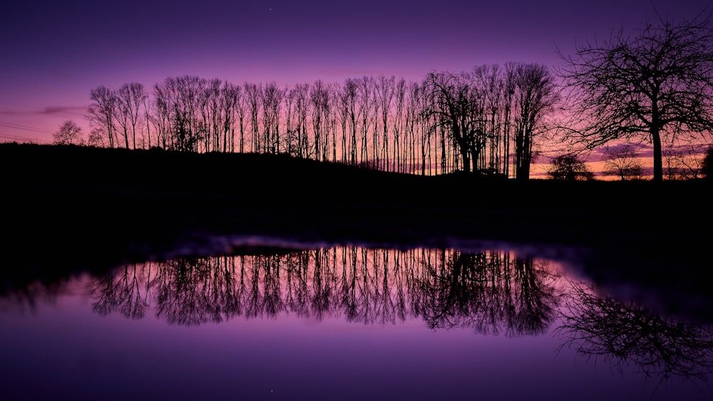 a purple sunset with trees reflected in the water