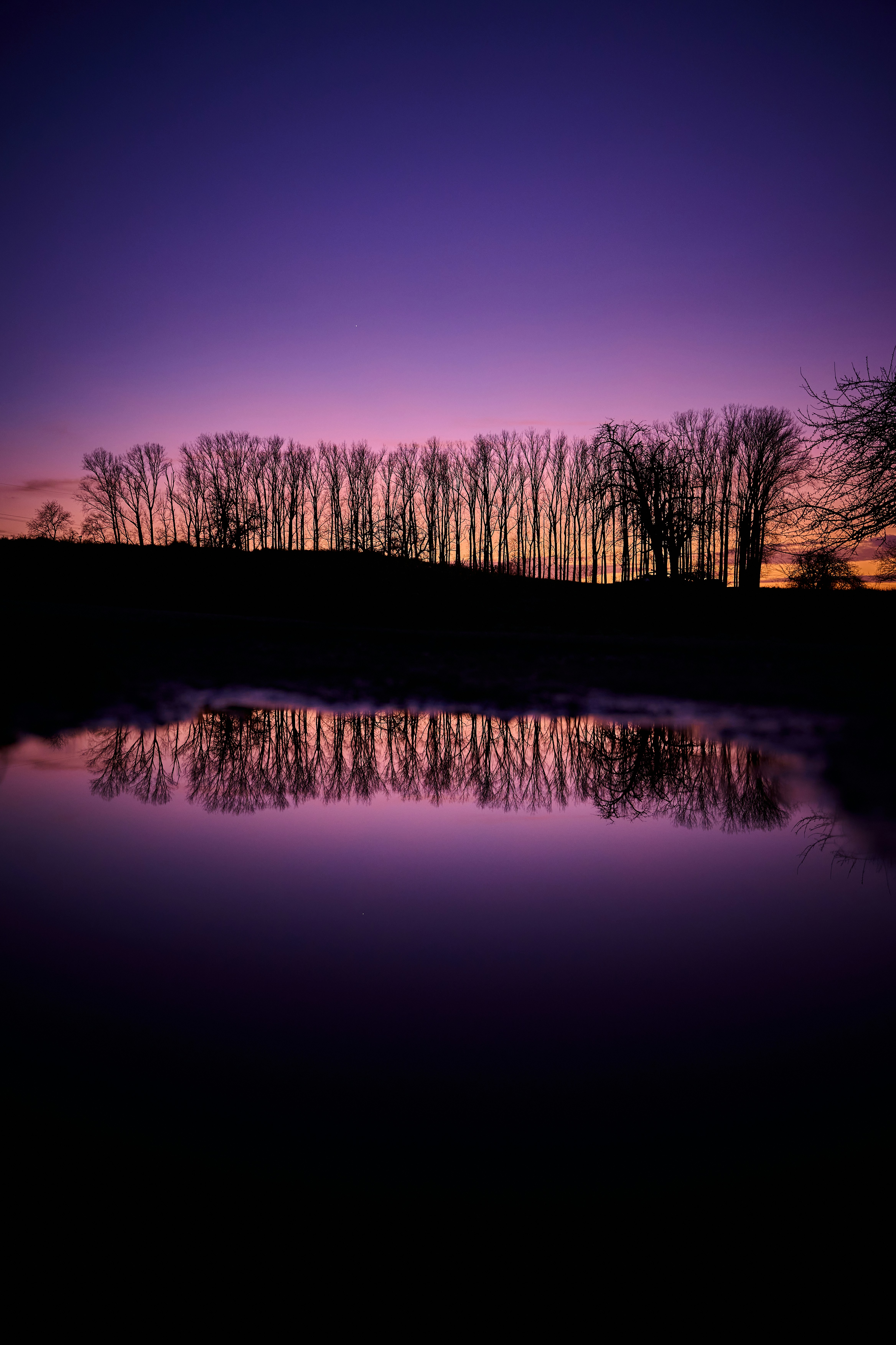 水に映る木々のある紫色の空