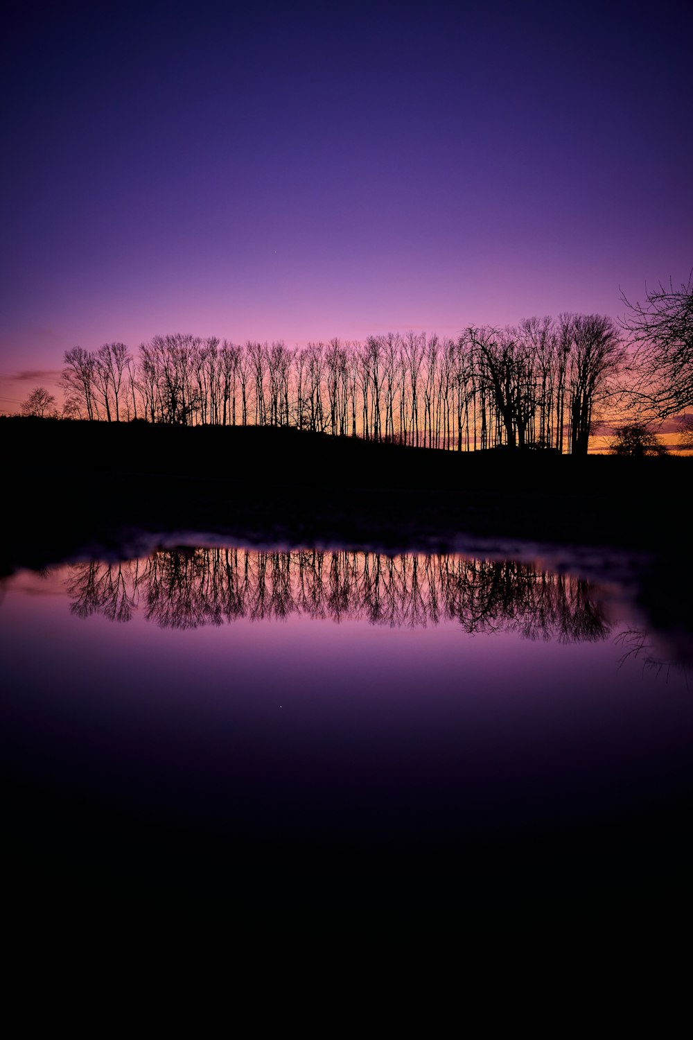 um céu roxo com árvores refletidas na água