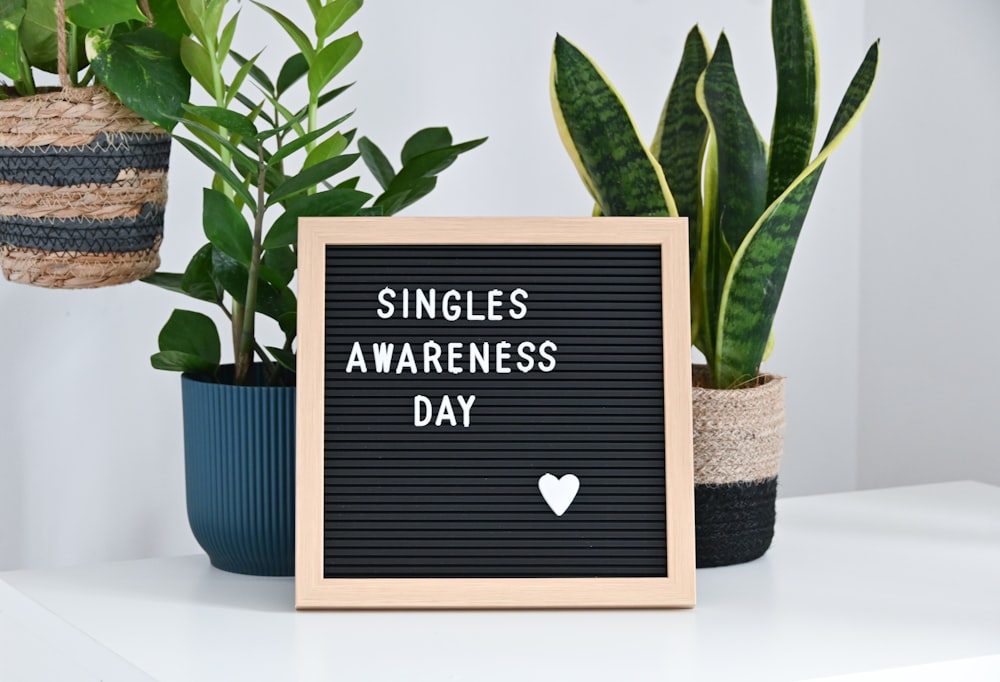 a sign that says singles awareness day next to a potted plant