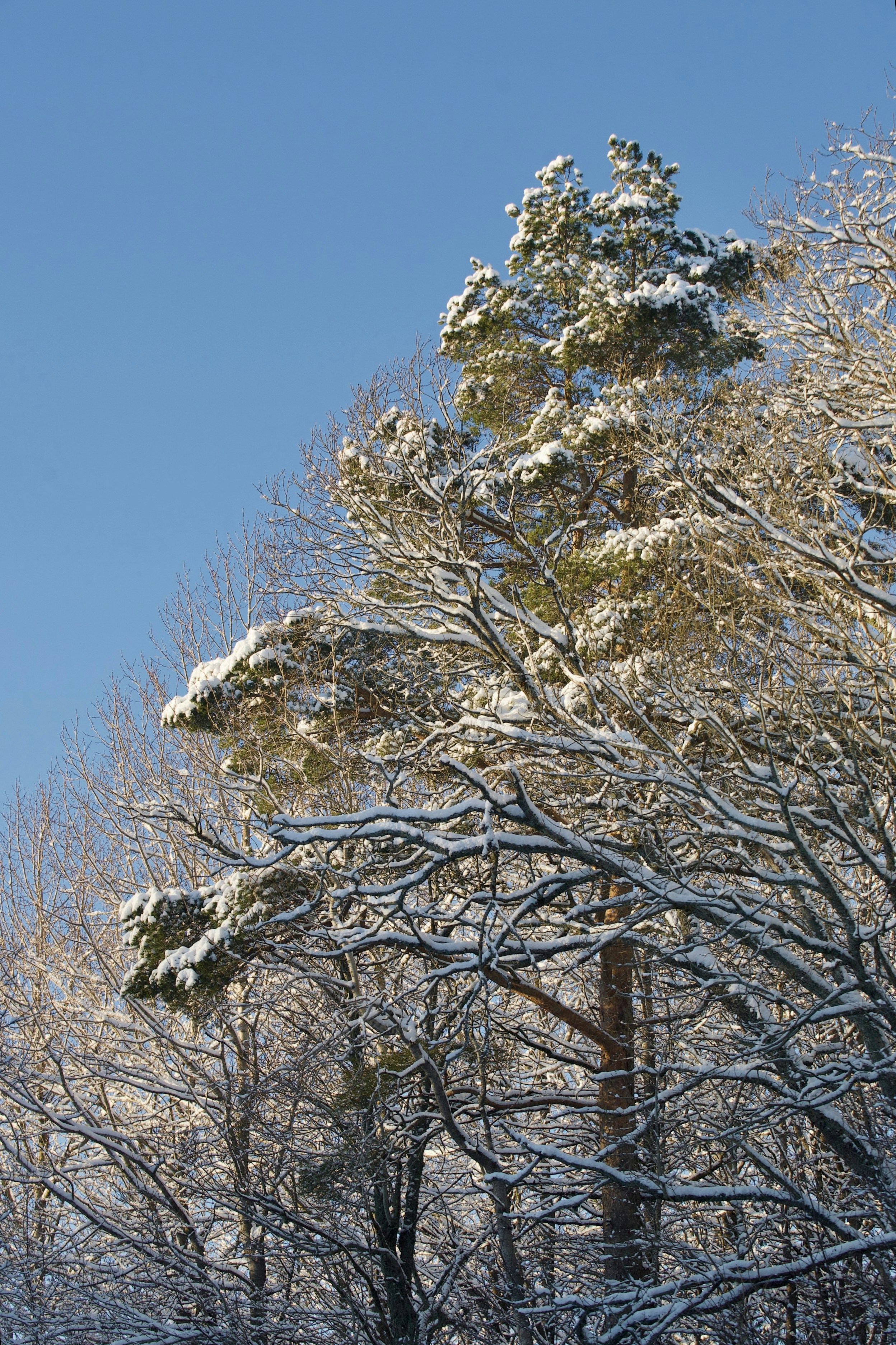 Photo by kristinokarlsen