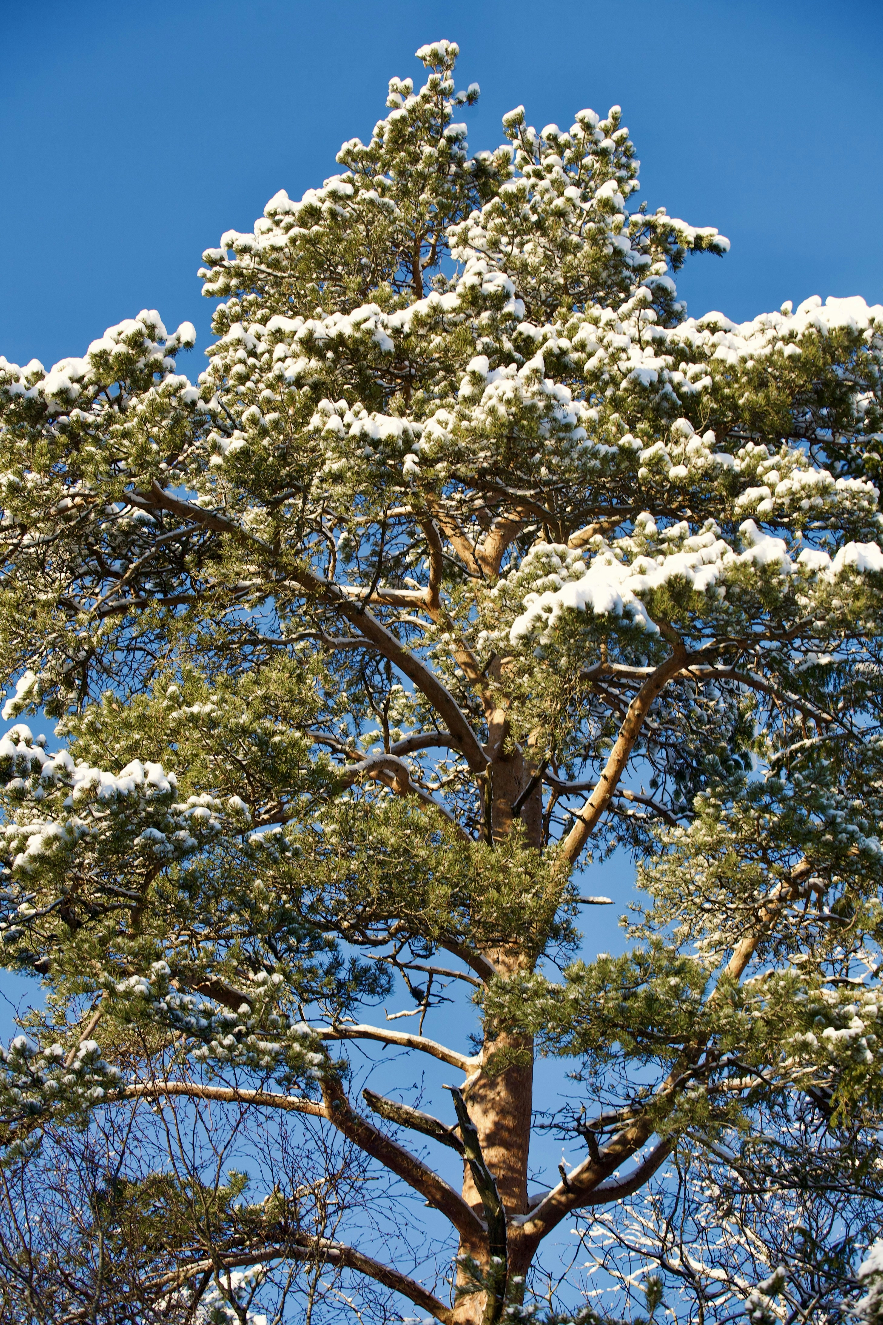 Photo by kristinokarlsen