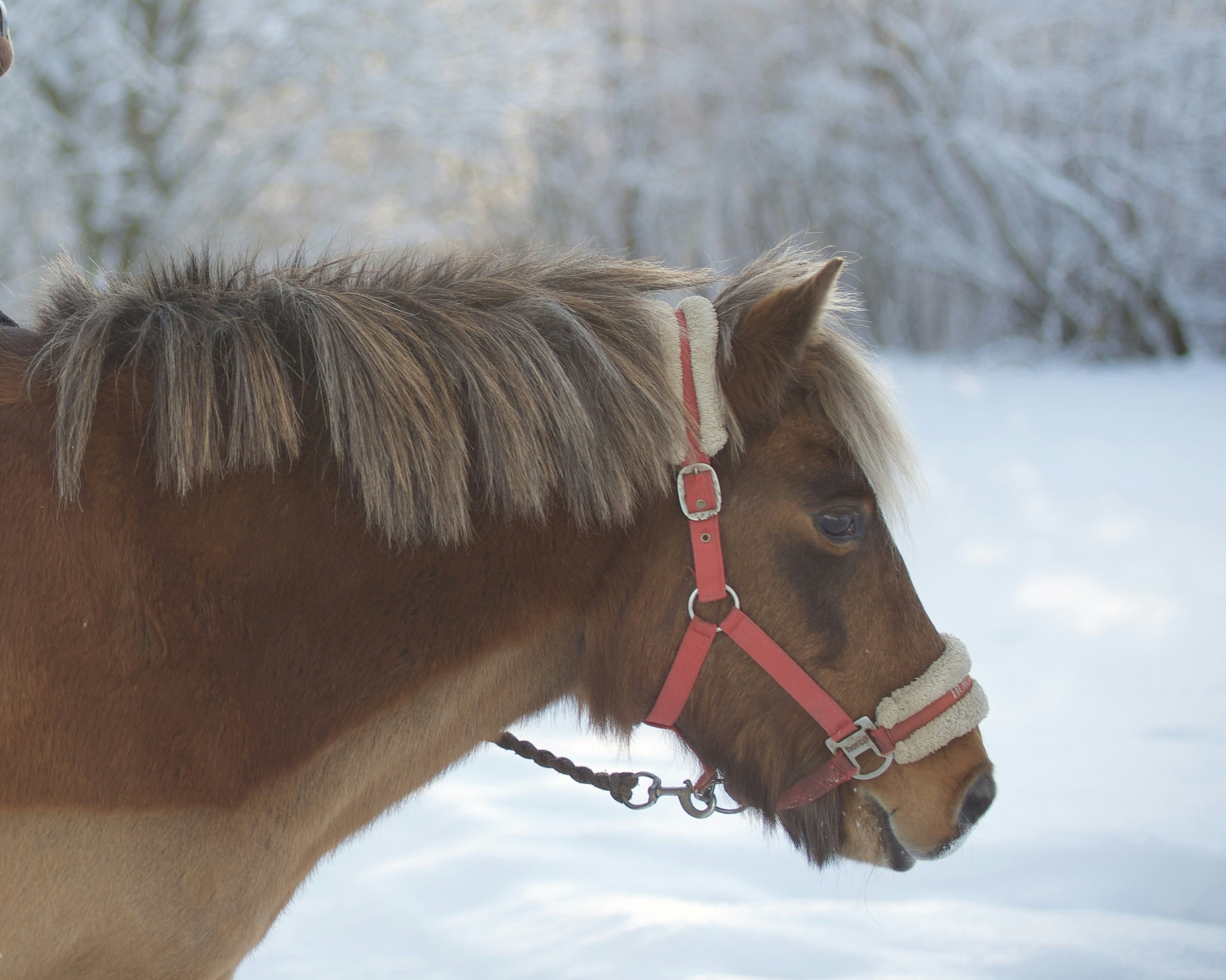 Photo by kristinokarlsen