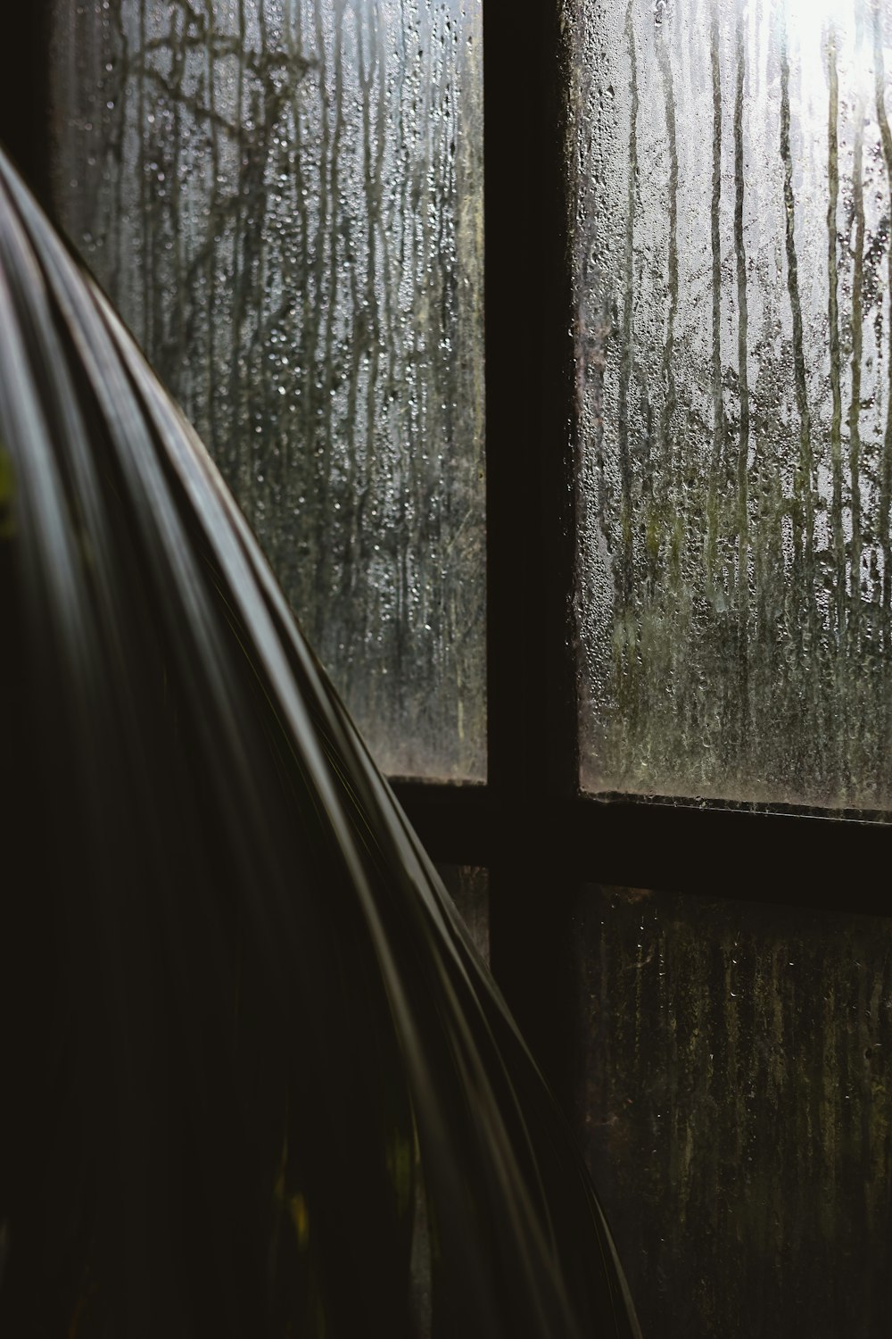 a view of a forest through a rainy window