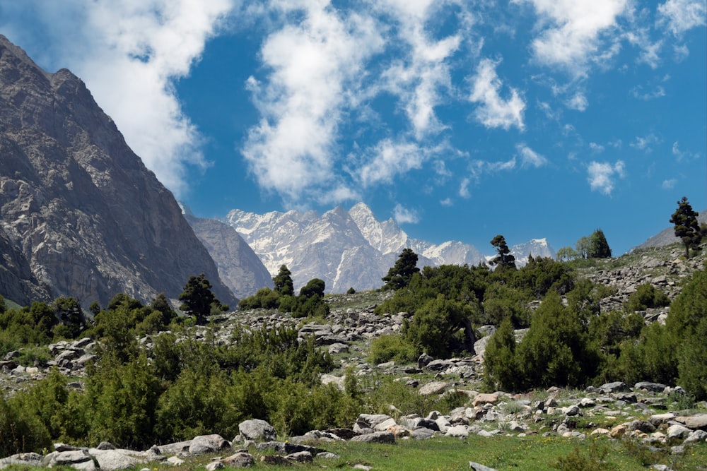 a mountain range with trees and rocks in the foreground