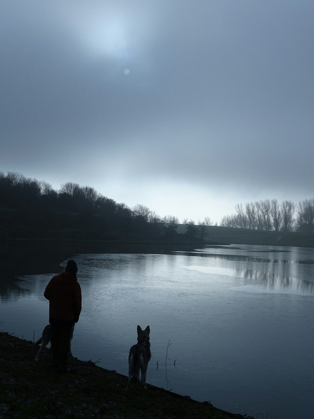 a person and a dog standing by a body of water