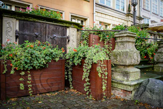 An old-fashioned vegetable garden with period-accurate plants and rustic charm.