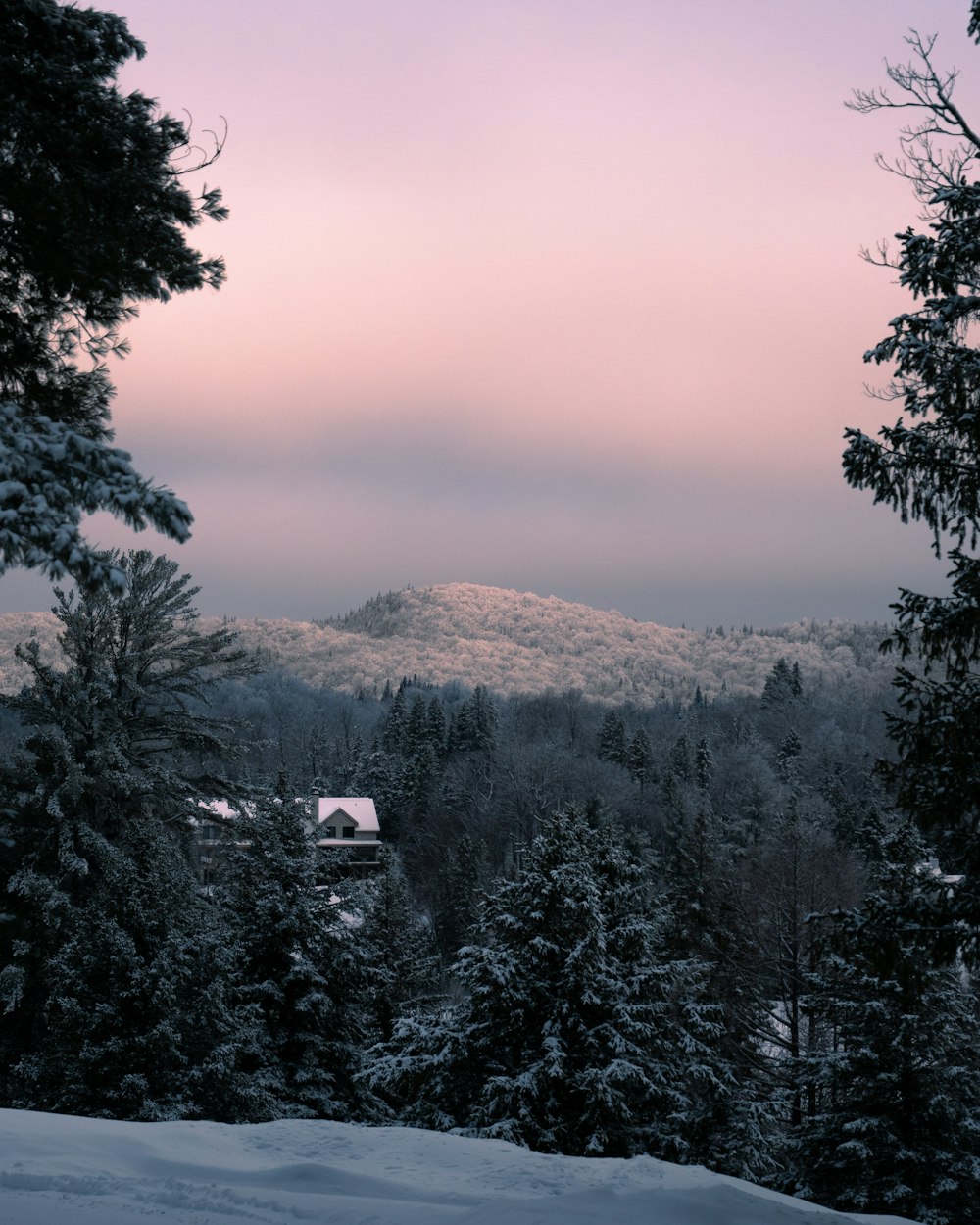 a view of a snow covered mountain with trees in the foreground