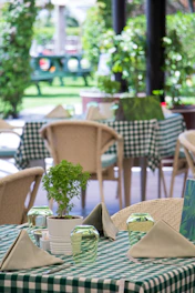 a green and white checkered table cloth with a potted plant