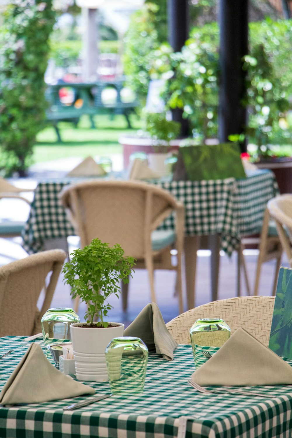 a green and white checkered table cloth with a potted plant