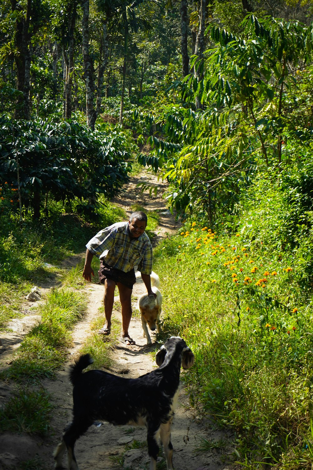 a man walking a dog down a dirt road