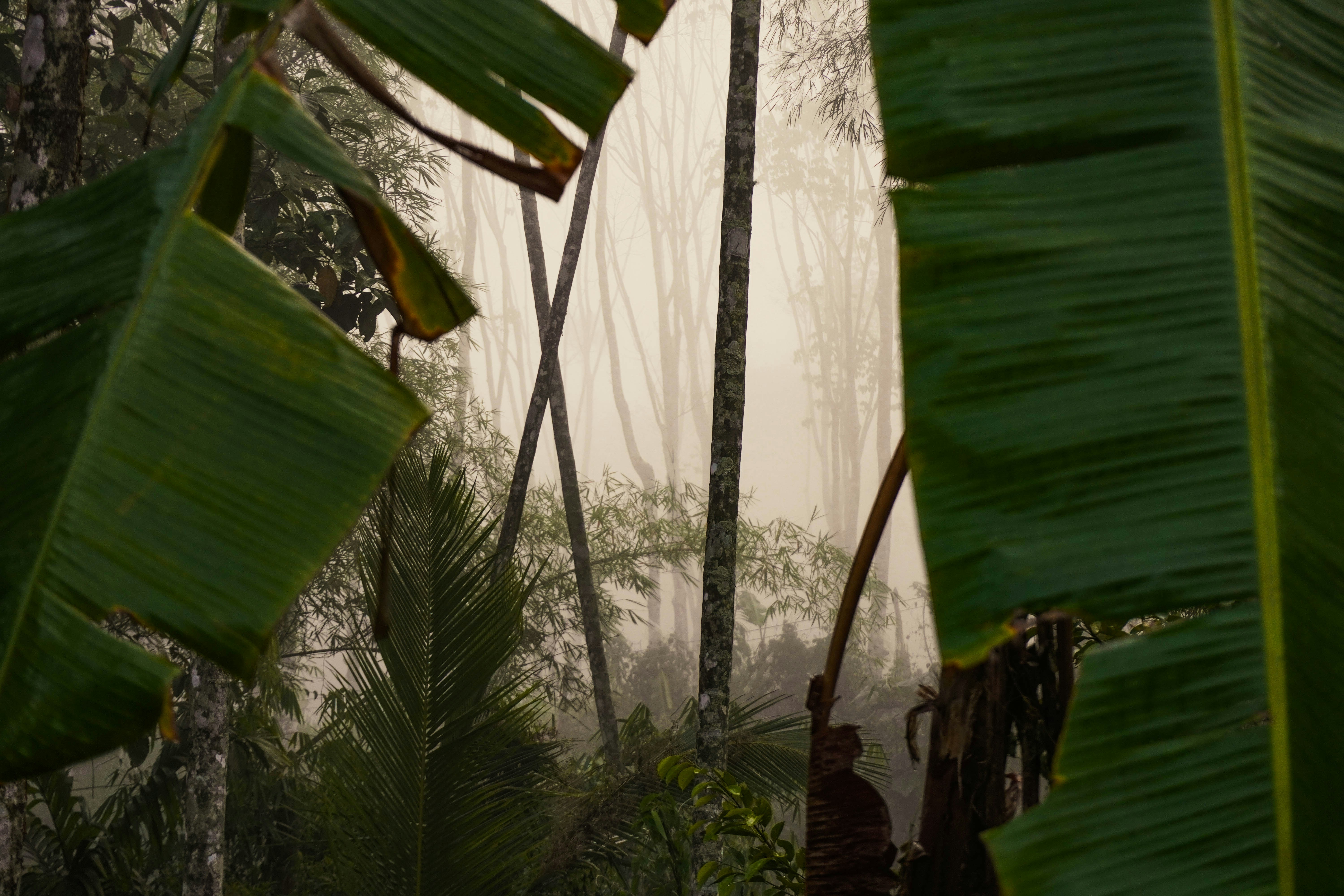 woman wearing yellow long-sleeved dress under white clouds and blue sky during daytime