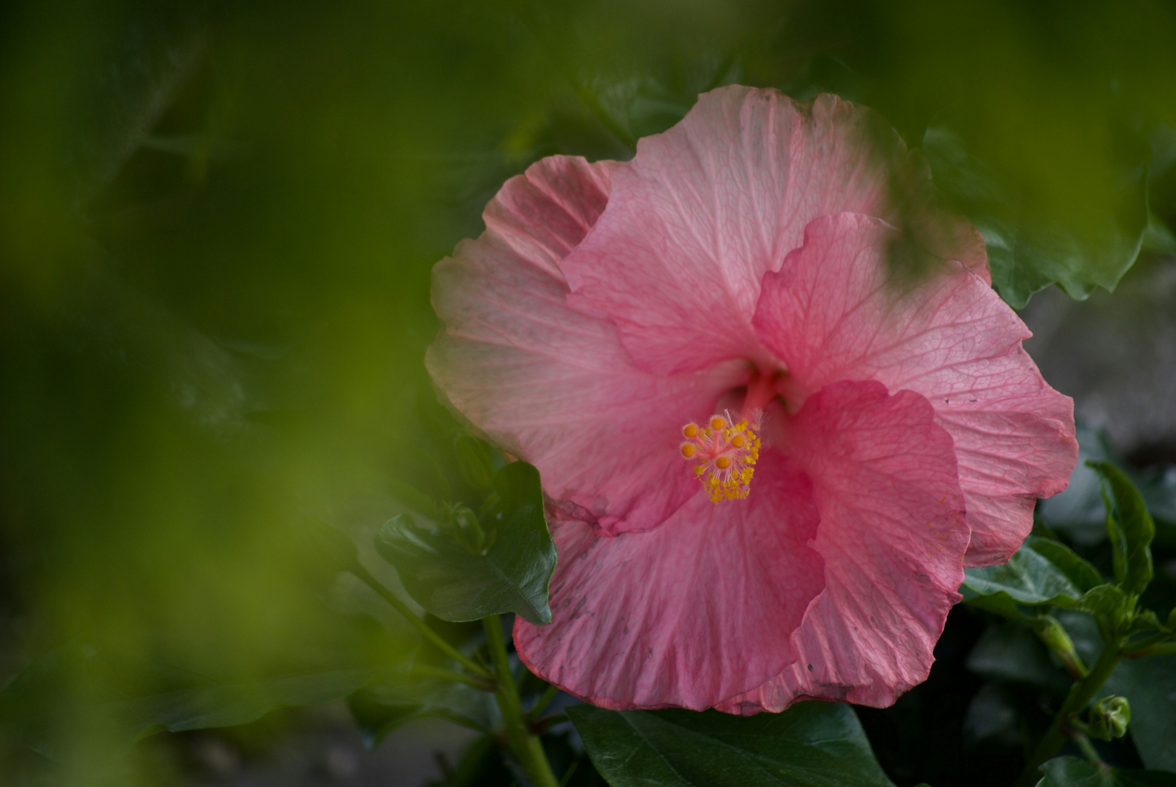 Photo by mariobeducci