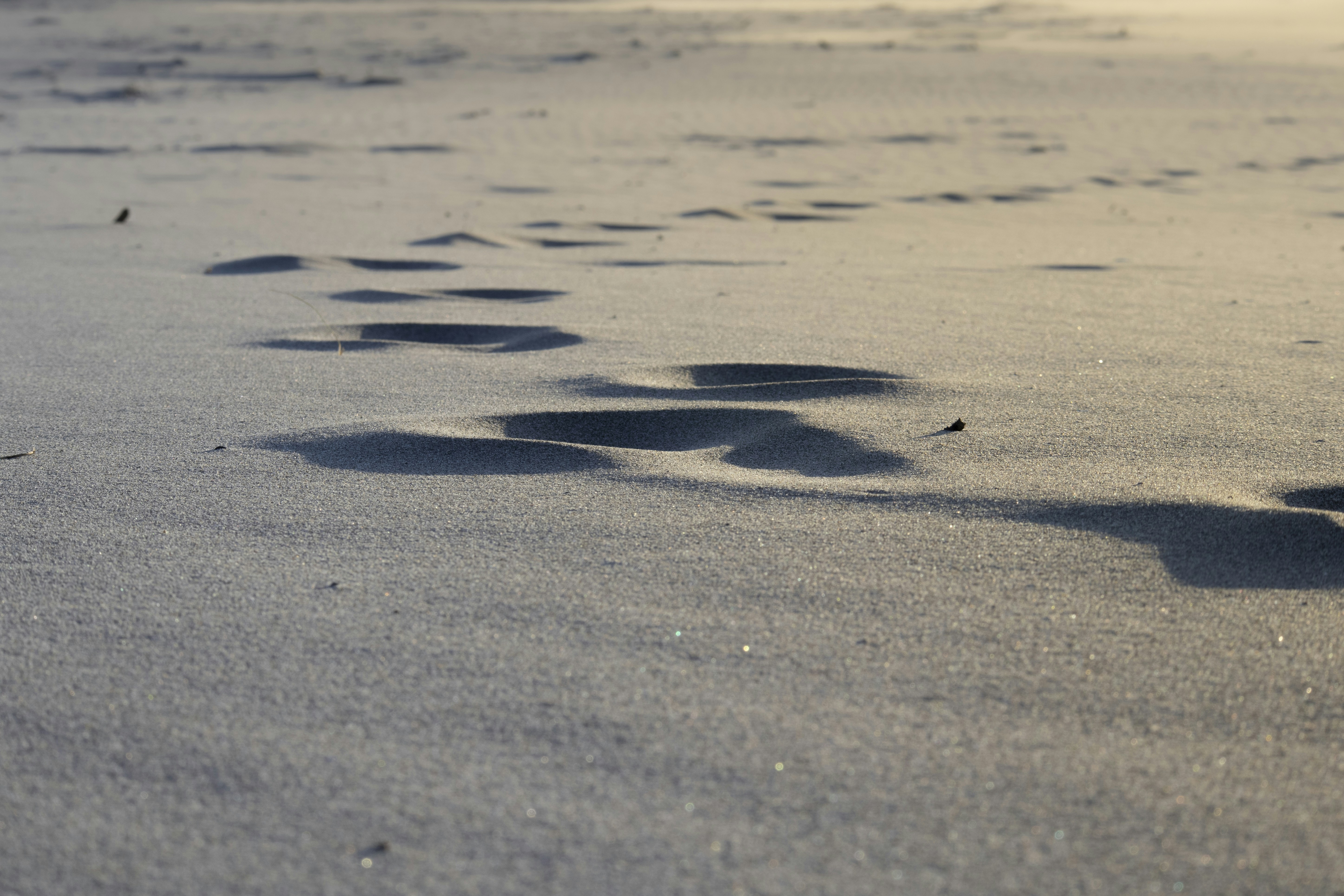 Photo by amandine_bataille_photo