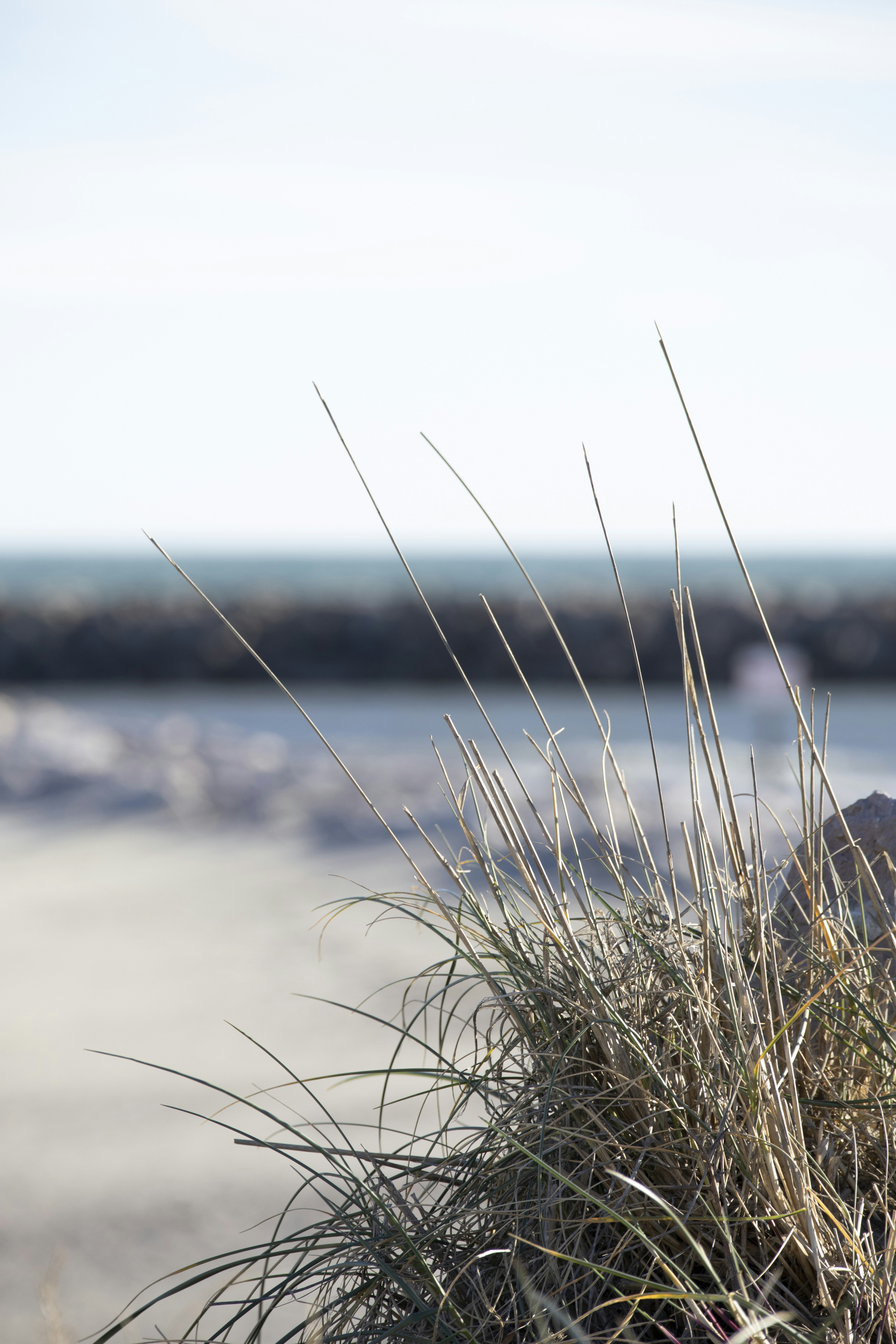 Photo by amandine_bataille_photo