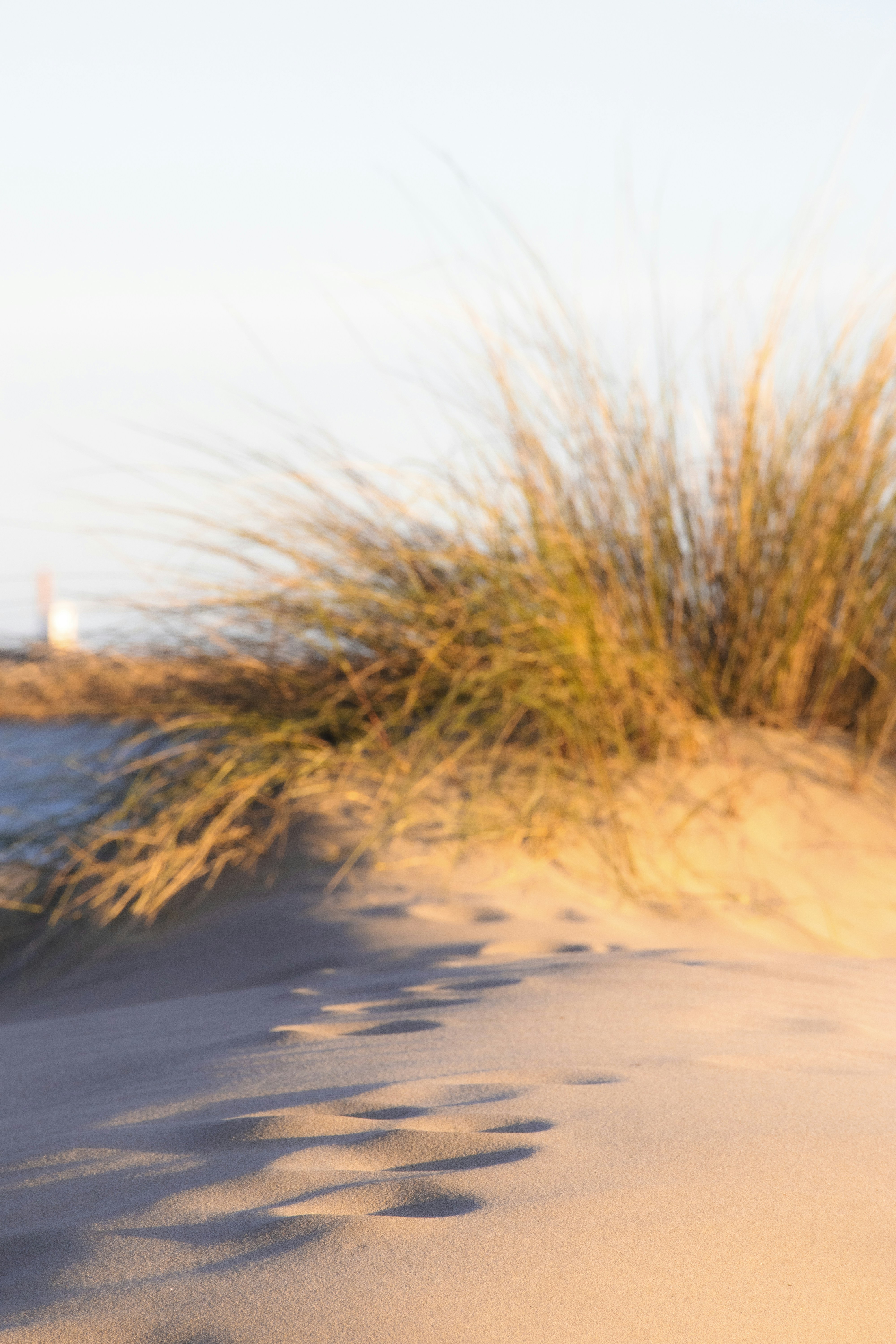 Photo by amandine_bataille_photo