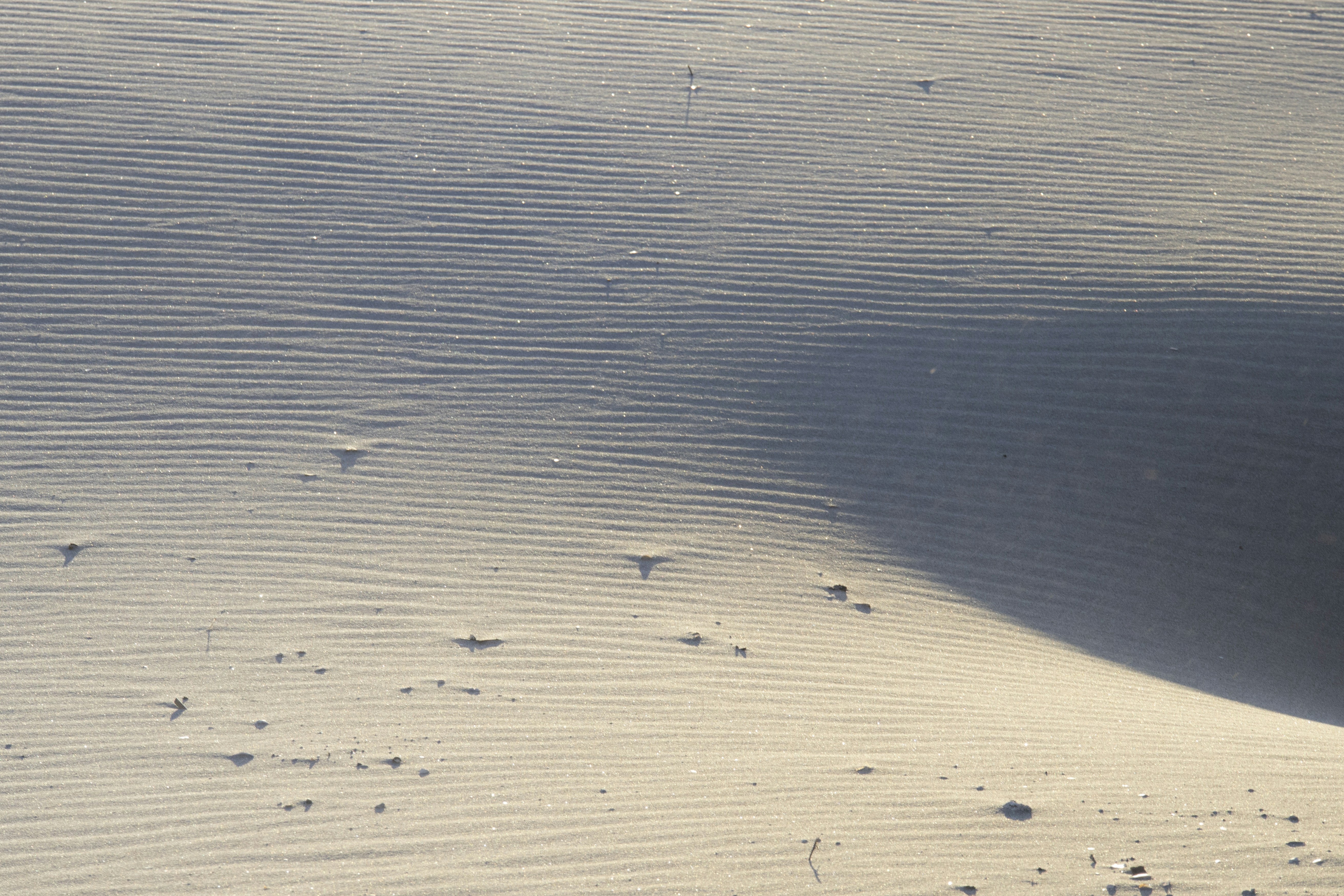 Photo by amandine_bataille_photo