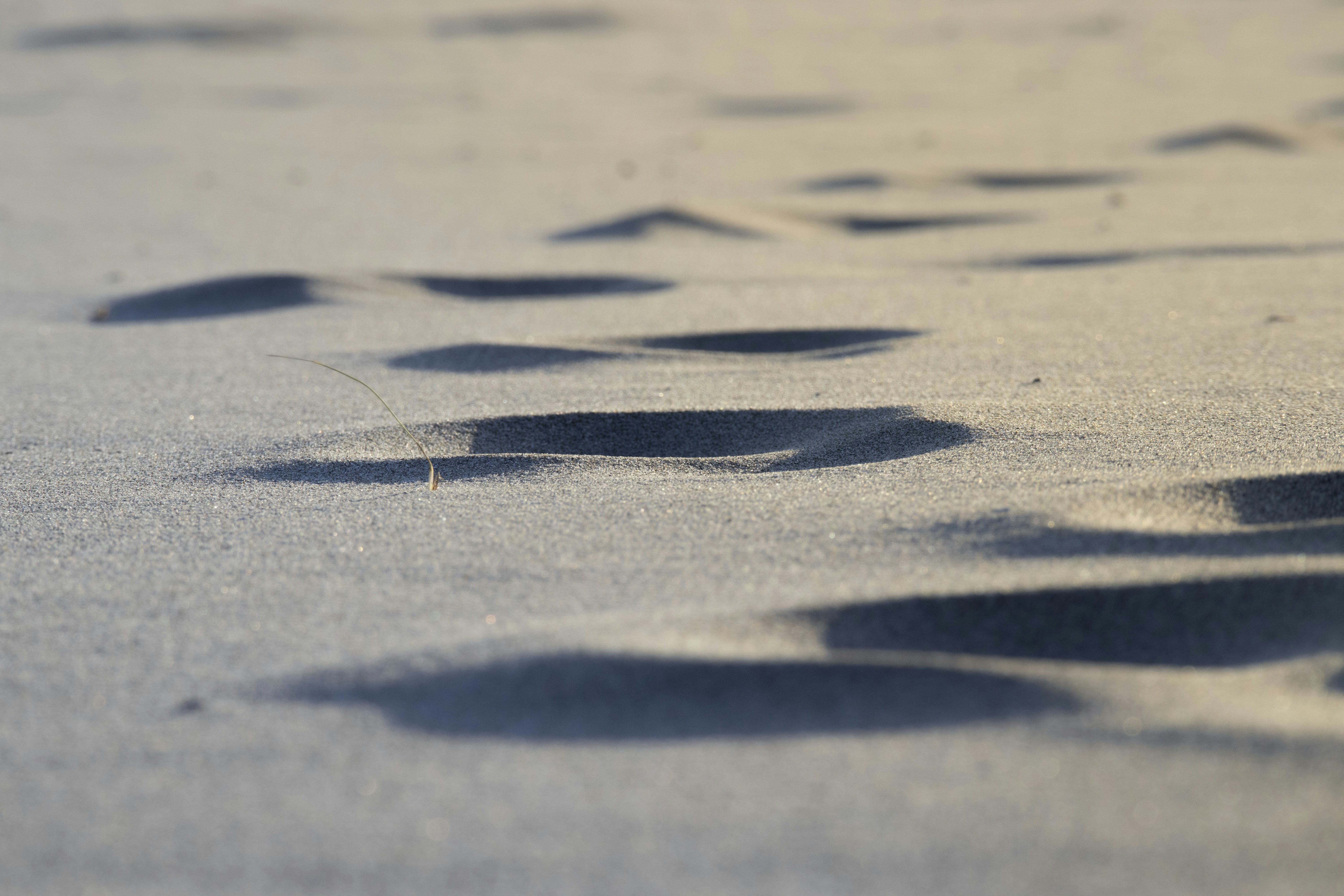 Photo by amandine_bataille_photo