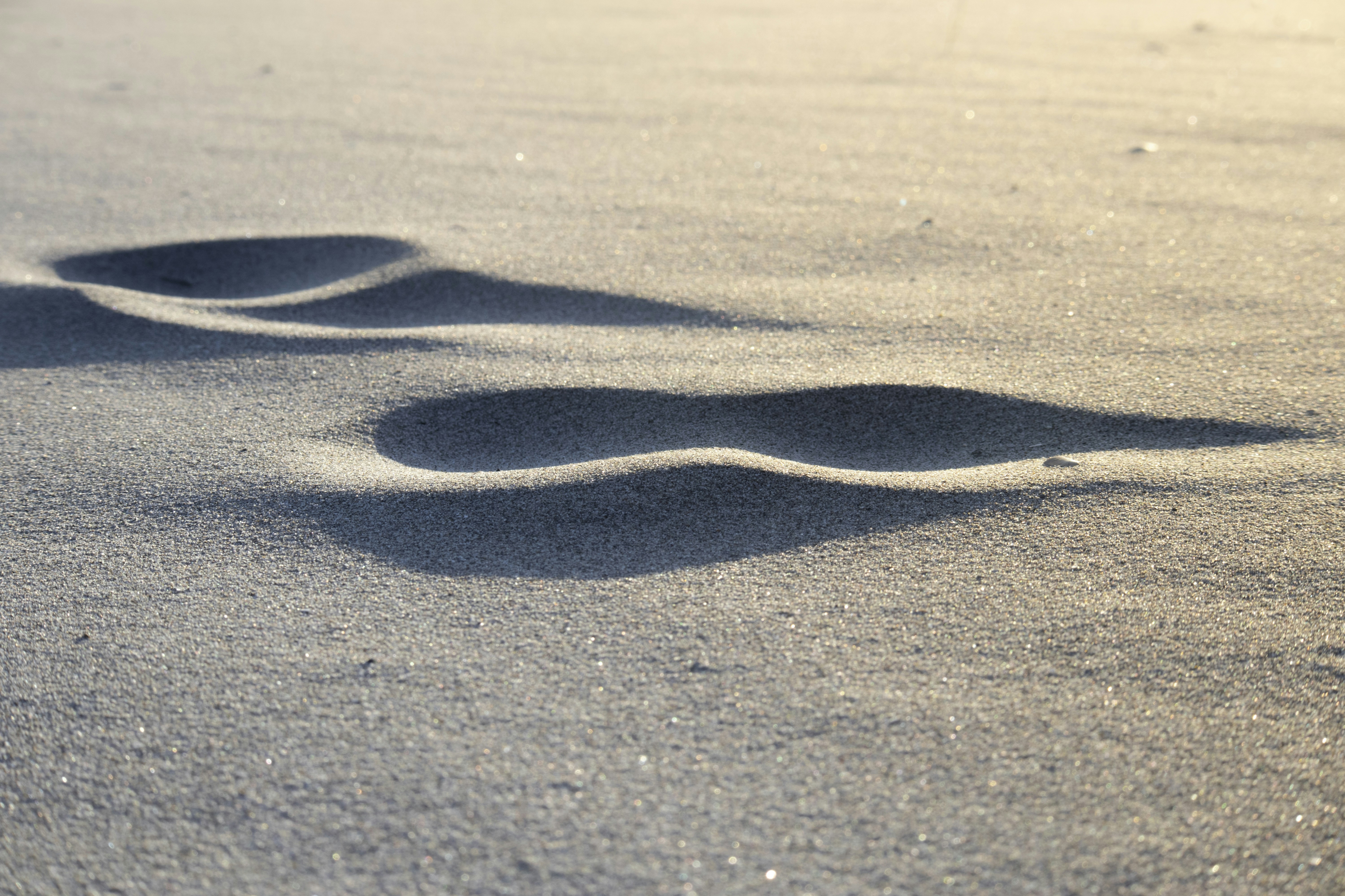 Photo by amandine_bataille_photo